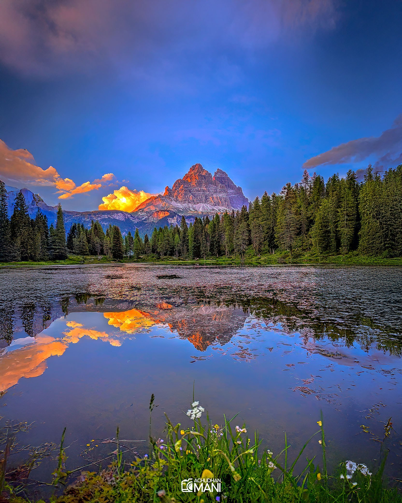 Landscape