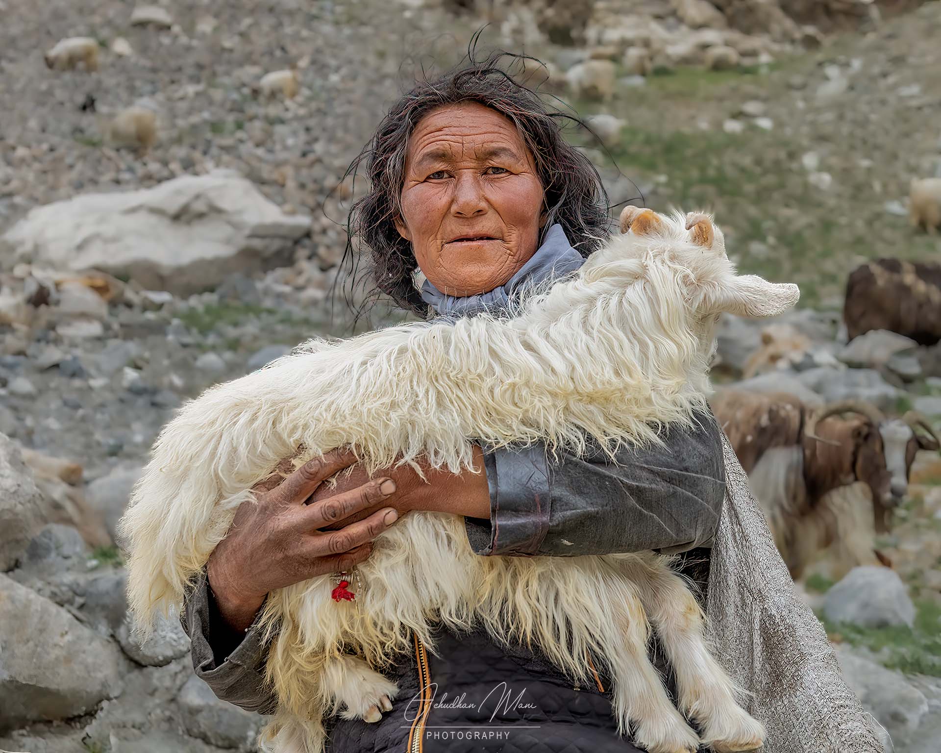 Shepherd of Ladak, India — fine art photography print by Achyudhan Mani
