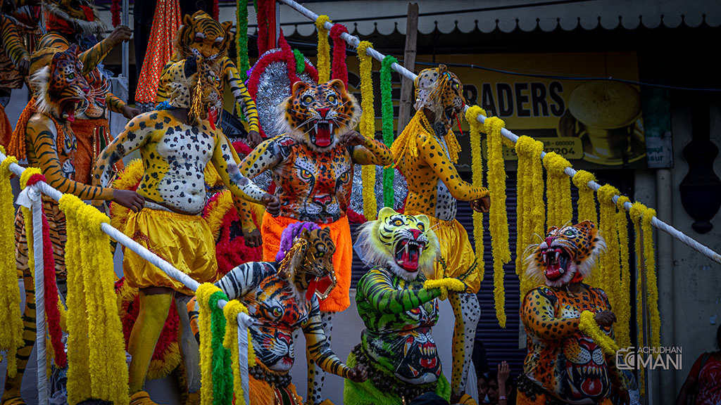 Pulikali, Kerala — Kerala cultural photography fine art print by Achyudhan Mani